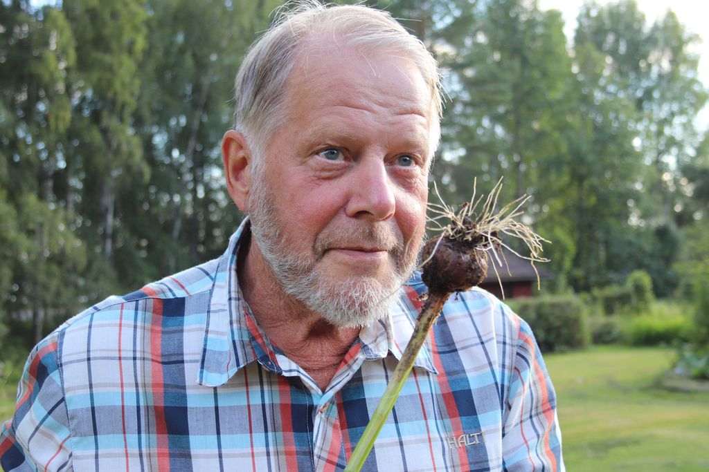 Eläkkeellä valkosipulia viljelevä Eero Virtanen sanoo, että suntiona toimiminen oli työuran parasta aikaa. "Valtavasti sain siinä työssä uusia tuttuja."