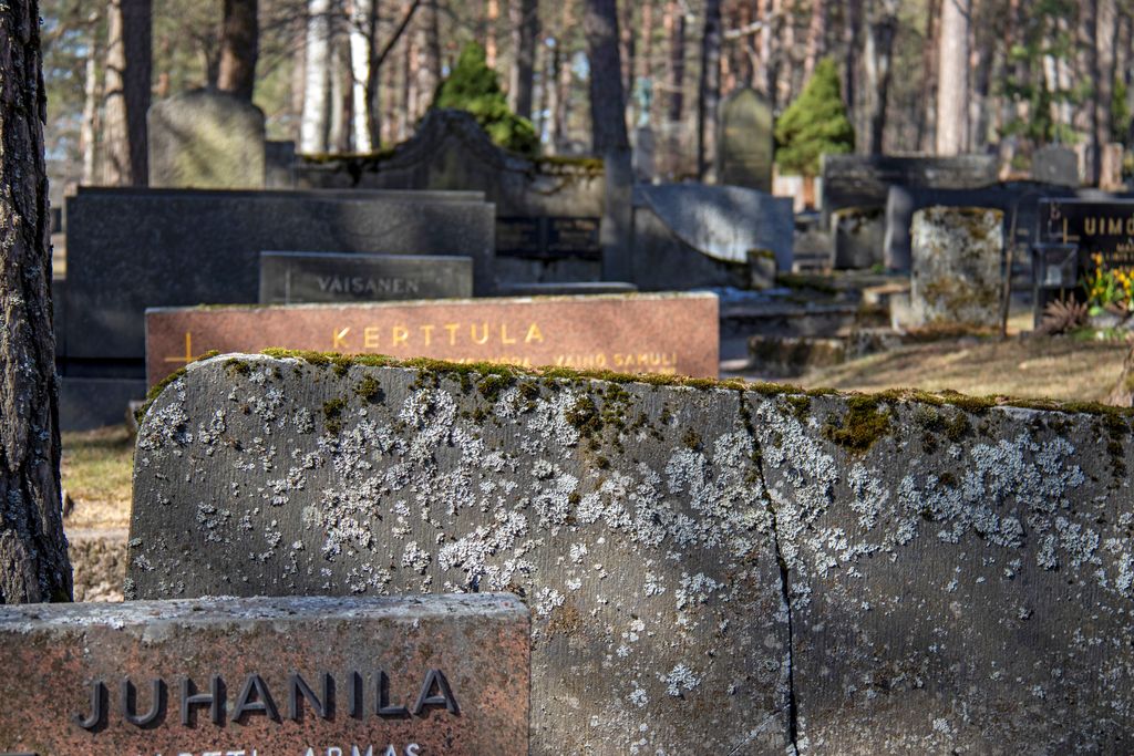 Hautausmailla on mielenkiintoisia kerrostumia. Kuva Lahden Radiomäellä sijaitsevalta Vanhalta hautausmaalta, joka otettiin käyttöön vuonna 1894. Kuva: Markus Luukkonen